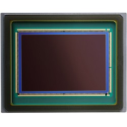 "Canon EOS R3 Body kopen bij Foto-Groep | Professionele camera's"