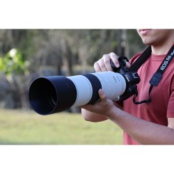 Canon RF 200-800mm f/6.3-9.0 IS USM | Canon lens | Foto-Groep