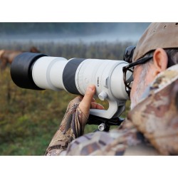 Canon RF 200-800mm f/6.3-9.0 IS USM | Canon lens | Foto-Groep