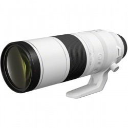 Canon RF 200-800mm f/6.3-9.0 IS USM | Canon lens | Foto-Groep