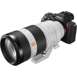 "Sony FE 100-400mm f/4.5–5.6 GM OSS - Sony | Foto-Groep"