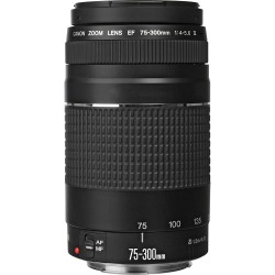 Canon EF 75-300mm f/4-5.6 III - Scherpe prijzen en snelle verzending | Foto-Groep