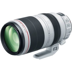 "Canon EF 100-400mm f/4.5-5.6L IS II USM | Foto-Groep"