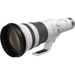Canon RF 800mm f/5.6L IS USM | Foto-Groep - Haal het beste uit je fotografie met Canon's nieuwste lens