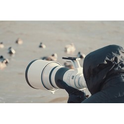 Canon RF 800mm f/5.6L IS USM | Foto-Groep - Haal het beste uit je fotografie met Canon's nieuwste lens
