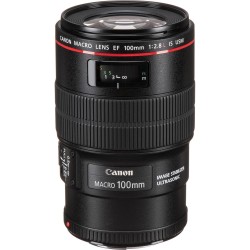 Canon EF 100mm f/2.8L MACRO IS USM | Scherpe macrofoto's met Canon lens | Foto-Groep