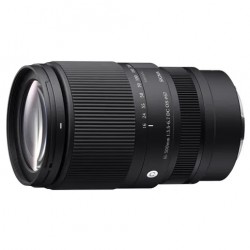 Sigma 16-300mm f/3.5-6.7 DC OS (C) L-Mount | Foto-Groep
