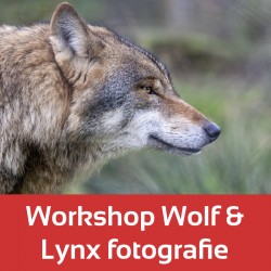 Foto-Groep Macro-workshop