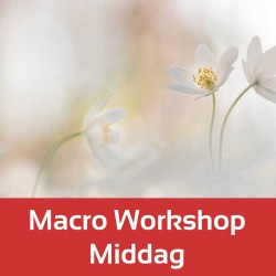 Foto-Groep Macro-workshop