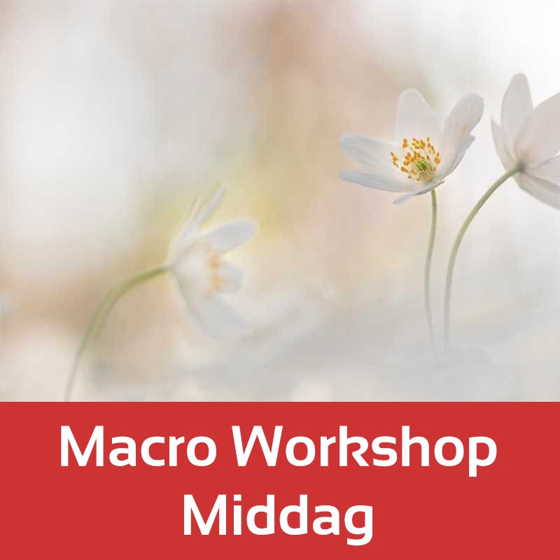 Foto-Groep Macro-workshop Foto-Groep Macro-workshop