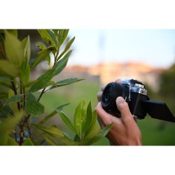 "Nikon NIKKOR Z DX 24mm f/1.7 | Topkwaliteit lens voor scherpe foto's"