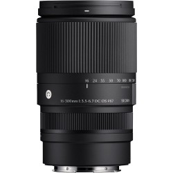 Sigma 16-300mm f/3.5-6.7 DC OS (C) L-Mount | Foto-Groep