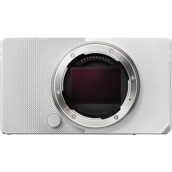 Sigma BF Camera Body Zilver | Foto-Groep: Voor de beste deals en service