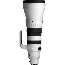 "Sigma 300-600mm f/4.0 DG OS Sports (L-Mount) | Foto-Groep"