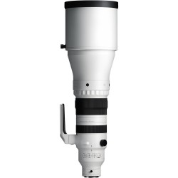 "Sigma 300-600mm f/4.0 DG OS Sports (L-Mount) | Foto-Groep"