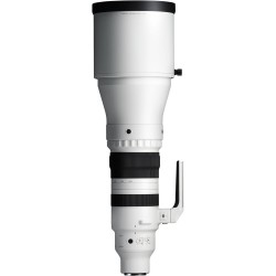 "Sigma 300-600mm f/4.0 DG OS Sports (L-Mount) | Foto-Groep"