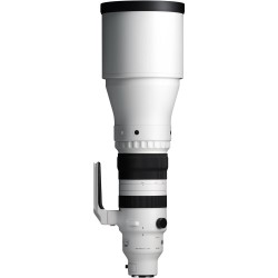 "Sigma 300-600mm f/4.0 DG OS Sports (L-Mount) | Foto-Groep"
