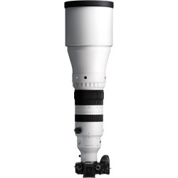 "Sigma 300-600mm f/4.0 DG OS Sports (L-Mount) | Foto-Groep"