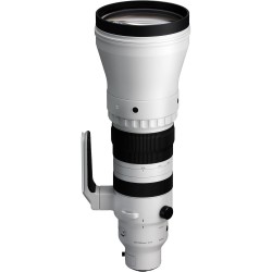 Sigma 300-600mm f/4.0 DG OS Sports (Sony E) | Foto-Groep