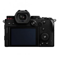 Panasonic LUMIX S5D + S 20-60mm f/3.5-5.6