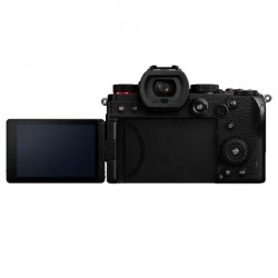 Panasonic LUMIX S5D + S 20-60mm f/3.5-5.6