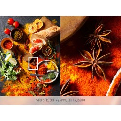 "Panasonic LUMIX S1R II 24-105mm f/4.0 Macro OIS | Foto-Groep"