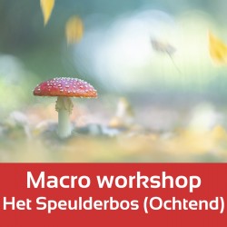 Foto-Groep Macro-workshop