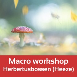 Foto-Groep Macro-workshop