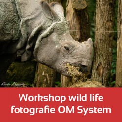 OM-dierentuin-middag