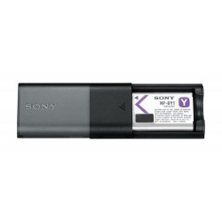 Lader en Extra Accu ACCTRDCY