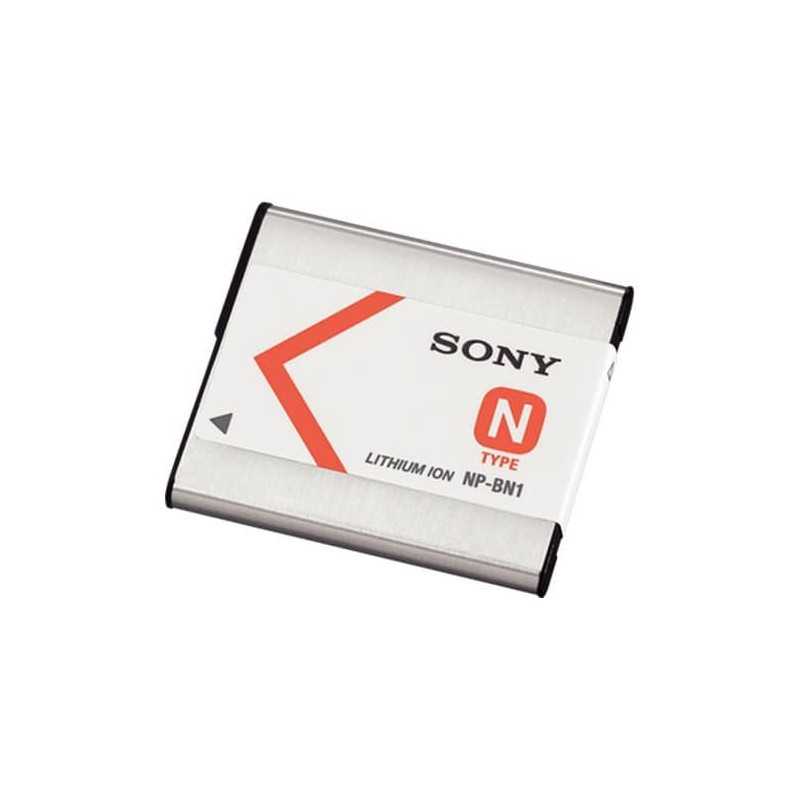 InfoLITHIUM battery type N 
