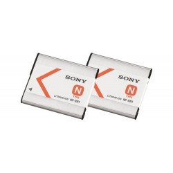 InfoLITHIUM battery type N 