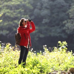 Canon Binocular 12x32 IS