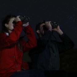 Canon Binocular 12x32 IS