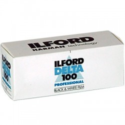 Ilford Delta 100 120 SW-Rollfilm