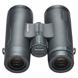 Bushnell 8x42 Engage