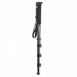 Kingjoy  1 Been MP-208f 
