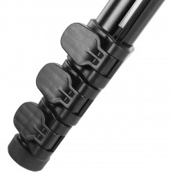 Kingjoy  1 Been MP-208f 