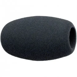 Koop de Sennheiser MZW 1 op foto-groep.nl