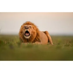 "Koop de Nikon NIKKOR Z 400mm f/2.8 TC VR S bij Foto-Groep"