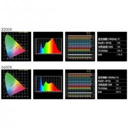 Falcon Eyes Bi-Colour LED Spot Lamp Dimmable CLL-1600TDX