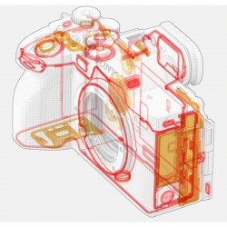 Sony Alpha A7R V | FE 12-24mm f/2.8 GM - Foto-Groep: De ultieme camera voor professionele fotografie