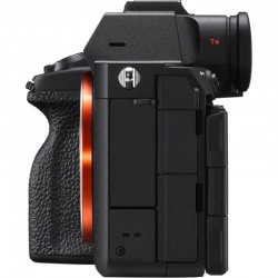 Sony Alpha A7R V met FE 50mm f/1.2 GM | Foto-Groep - Sony Camera's
