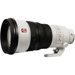 Sony SEL 300mm f/2.8 G Master + 2.0 extender