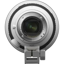 Sony SEL 300mm f/2.8 G Master + 2.0 extender
