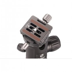 Leofoto Ball Head NB-34 + NP-50 w/ PC - Foto-Groep.nl