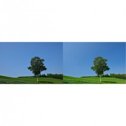 Hoya 46.0MM UX CIR-PL (PHL) | Foto-Groep