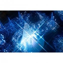 Hoya 62.0mm Star 4 Pro1D - Prachtige sterrenfilters bij Foto-Groep.nl