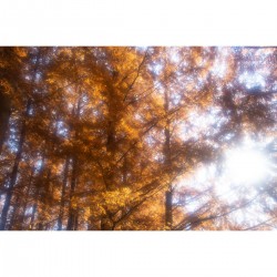 Hoya 72.0mm Fog NO0.5 - Hoogwaardige fotografie filters
