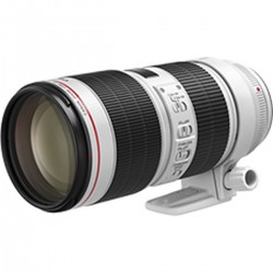 Canon EF 70-200mm f/2.8 L IS III USM | Foto-Groep: Koop nu online!